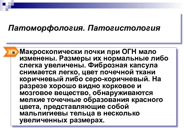 Патоморфология. Патогистология Макроскопически почки при ОГН мало изменены. Размеры их