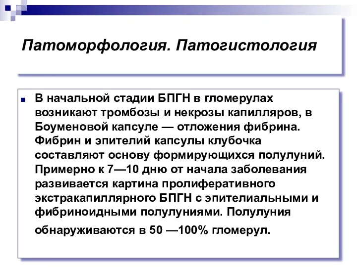 Патоморфология. Патогистология В начальной стадии БПГН в гломерулах возникают тромбозы