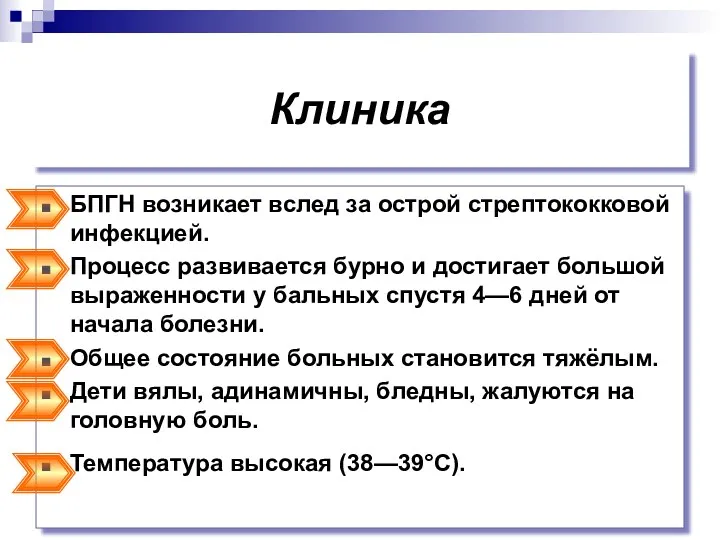 Клиника БПГН возникает вслед за острой стрептококковой инфекцией. Процесс развивается