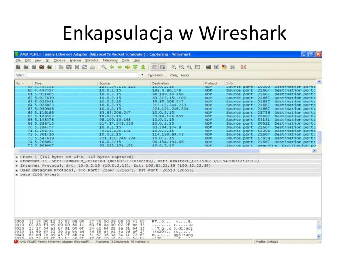 Enkapsulacja w Wireshark