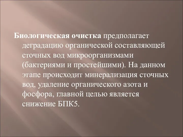 Биологическая очистка предполагает деградацию органической составляющей сточных вод микроорганизмами (бактериями