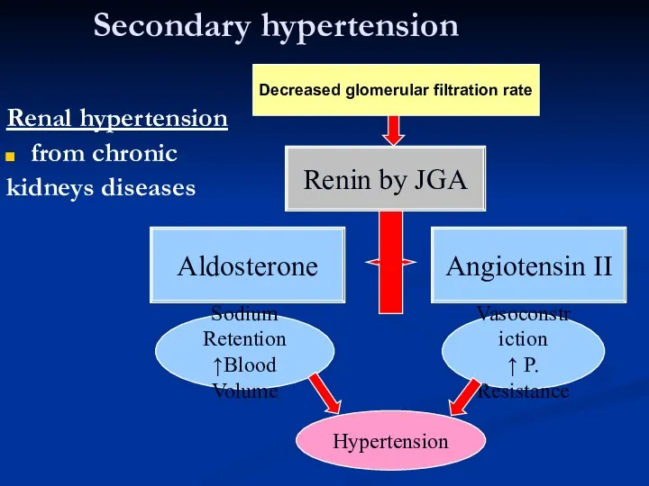 Secondary hypertension Renal hypertension from chronic kidneys diseases Renin by