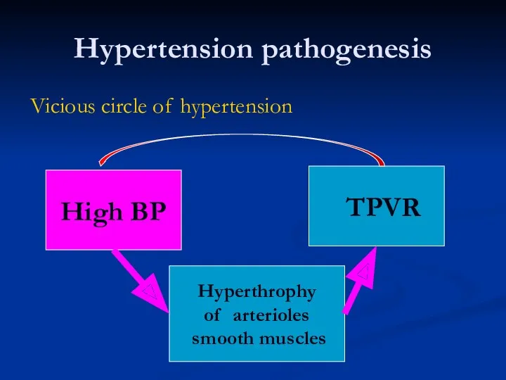 Hypertension pathogenesis Vicious circle of hypertension High BP Hyperthrophy of arterioles smooth muscles ? TPVR