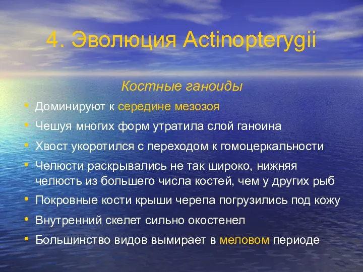 4. Эволюция Actinopterygii Костные ганоиды Доминируют к середине мезозоя Чешуя