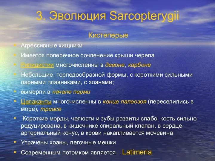 3. Эволюция Sarcopterygii Кистеперые Агрессивные хищники Имеется поперечное сочленение крыши