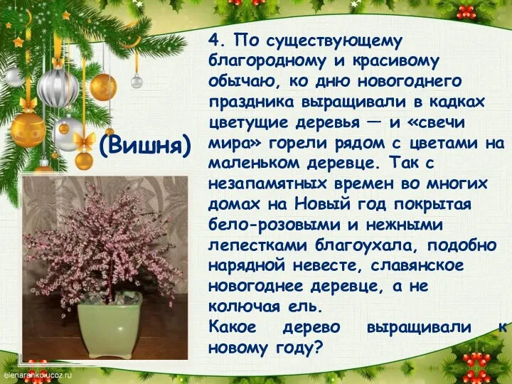 4. По существующему благородному и красивому обычаю, ко дню новогоднего