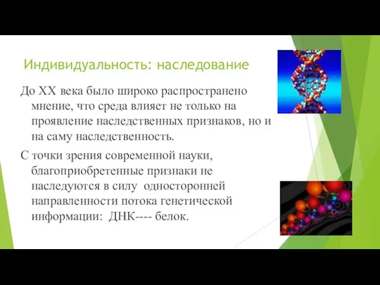 Индивидуальность: наследование До ХХ века было широко распространено мнение, что