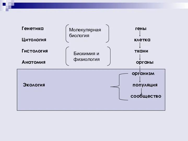 Генетика гены Цитология клетка Гистология ткани Анатомия органы организм Экология