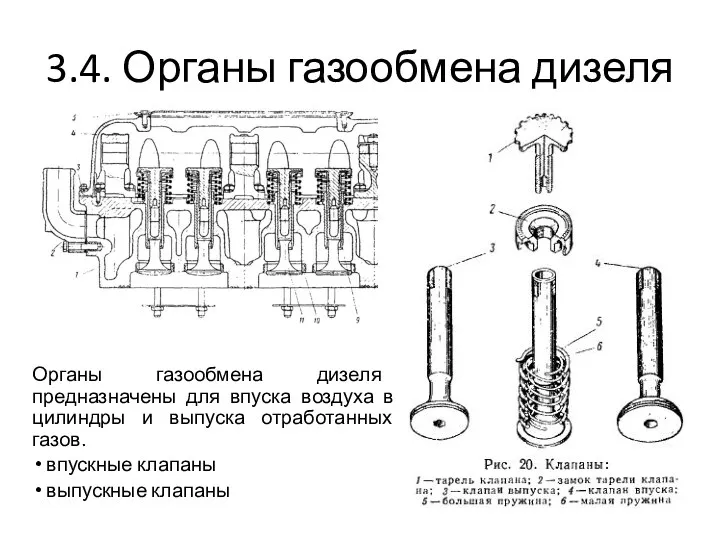 3.4. Органы газообмена дизеля Органы газообмена дизеля предназначены для впуска