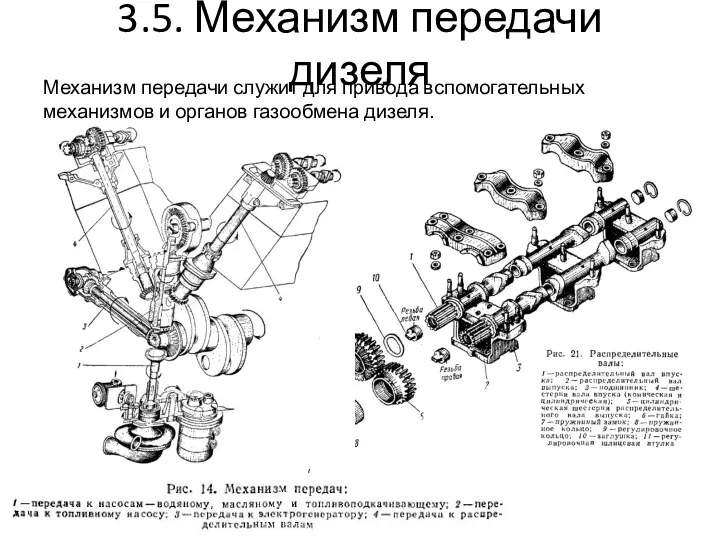 3.5. Механизм передачи дизеля Механизм передачи служит для привода вспомогательных механизмов и органов газообмена дизеля.