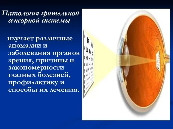 Патология зрительной сенсорной системы изучает различные аномалии и заболевания органов