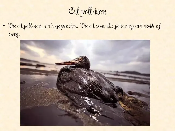 Oil pollution The oil pollution is a huge problem. The