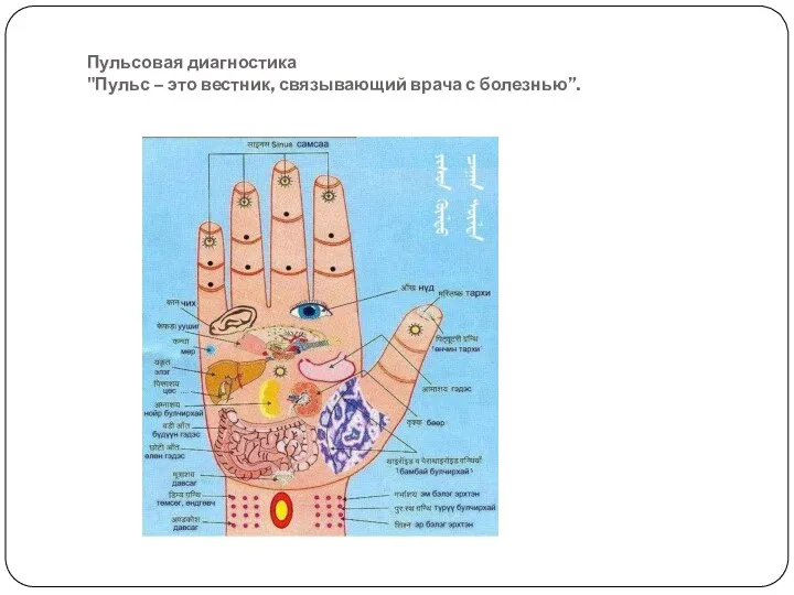 Пульсовая диагностика "Пульс – это вестник, связывающий врача с болезнью”.