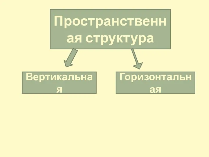 Пространственная структура Вертикальная Горизонтальная