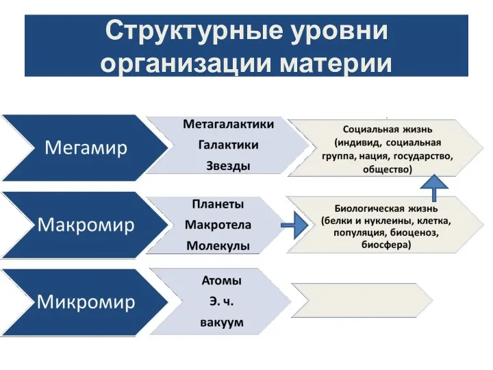 Структурные уровни организации материи