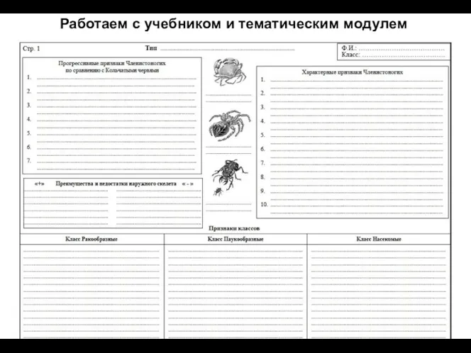 Работаем с учебником и тематическим модулем