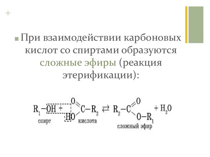 При взаимодействии карбоновых кислот со спиртами образуются сложные эфиры (реакция этерификации):