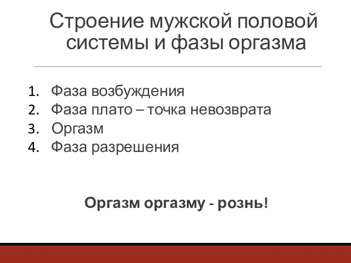 Строение мужской половой системы и фазы оргазма Фаза возбуждения Фаза