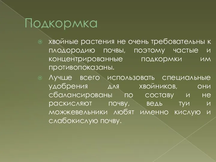 Подкормка хвойные растения не очень требовательны к плодородию почвы, поэтому