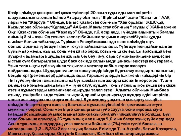 Қазір елімізде қос өркешті қазақ түйелері 20 асыл тұқымды мал