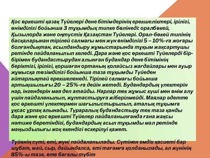 Қос өркешті қазақ Түйелері дене бітімдерінің ерекшеліктері, ірілігі, өнімділігі бойынша