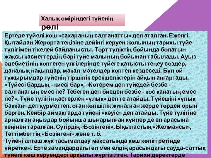 Халық өміріндегі түйенің рөлі Ертеде түйелі көш «сахараның салтанатты» деп