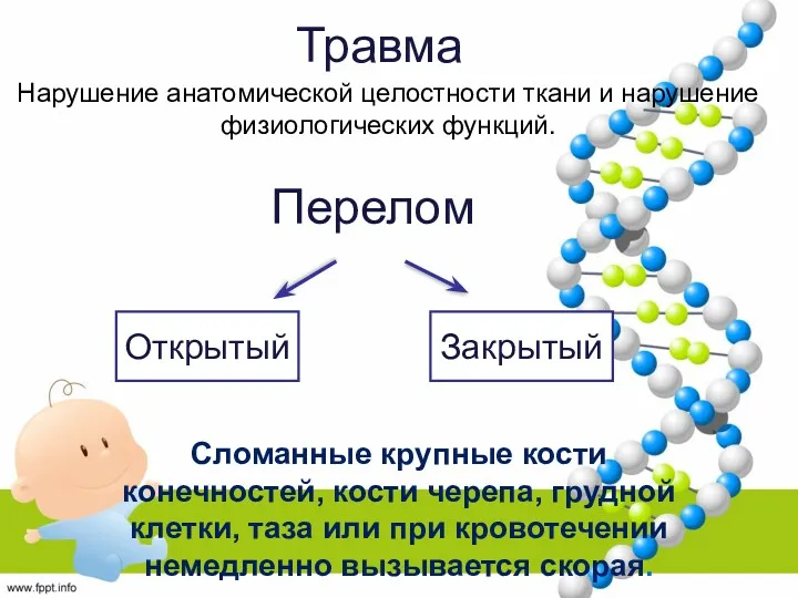 Перелом Открытый Закрытый Сломанные крупные кости конечностей, кости черепа, грудной