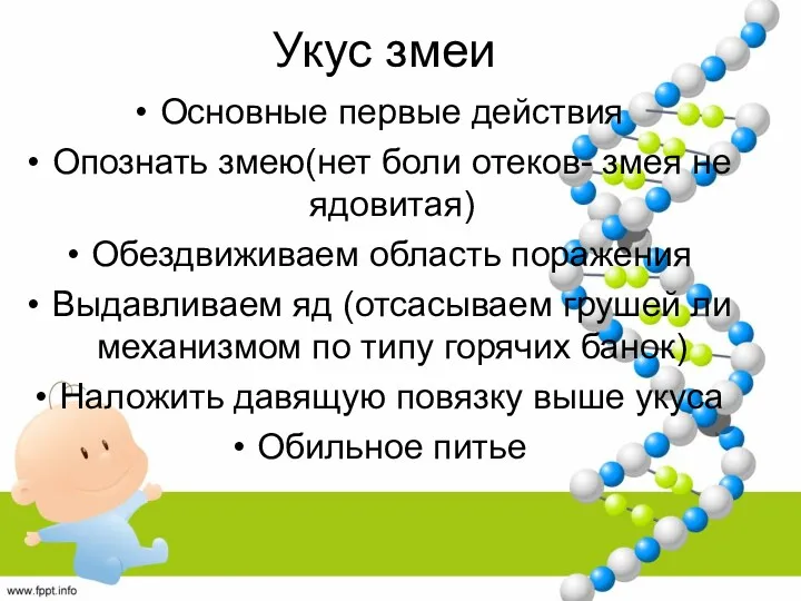 Укус змеи Основные первые действия Опознать змею(нет боли отеков- змея