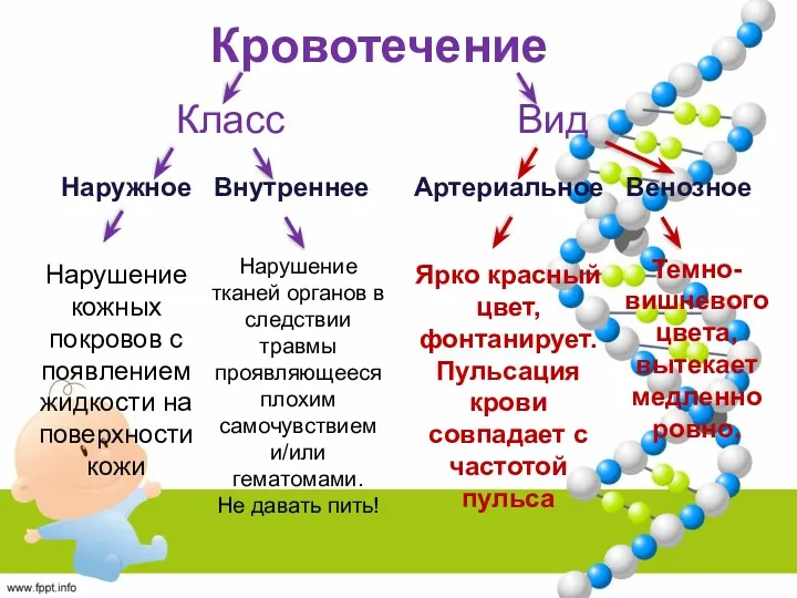 Кровотечение Класс Вид Наружное Внутреннее Артериальное Венозное Ярко красный цвет,