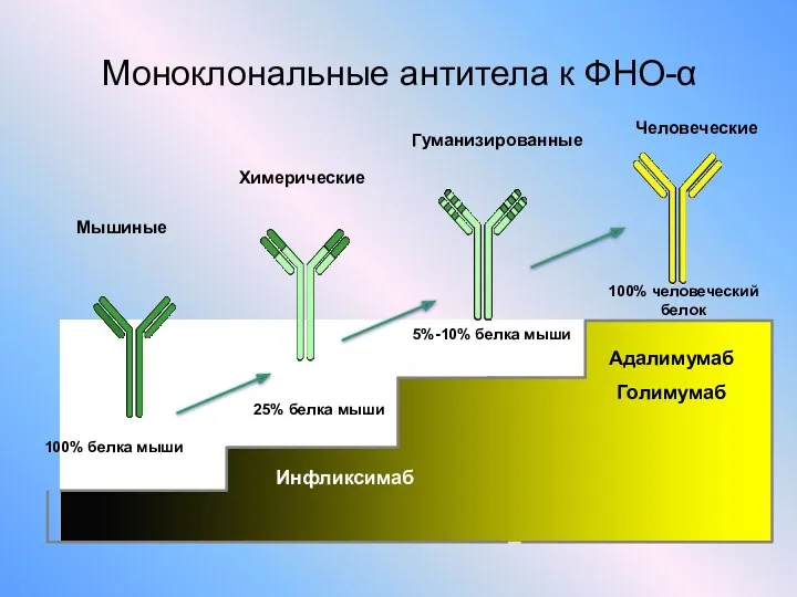 Моноклональные антитела к ФНО-α Adalimumab (Adalimumab) Человеческие Мышиные Химерические Гуманизированные