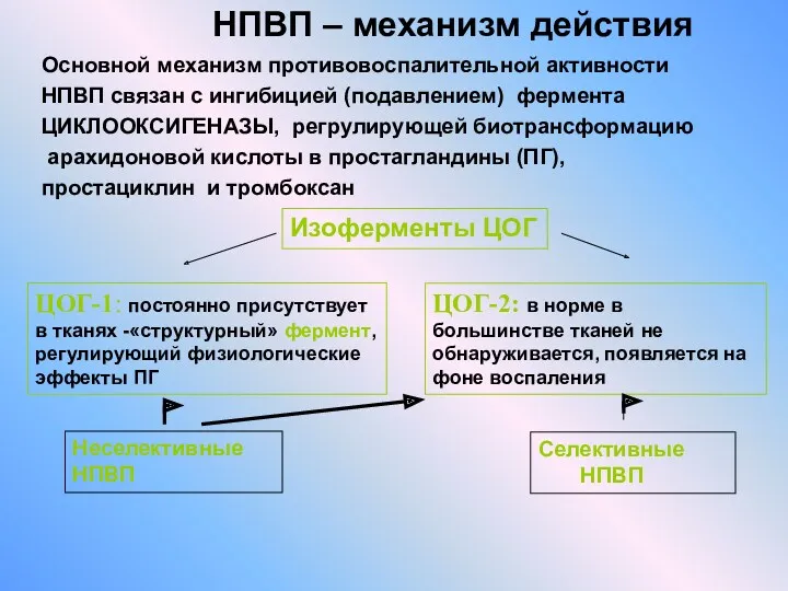 НПВП – механизм действия Изоферменты ЦОГ ЦОГ-1: постоянно присутствует в