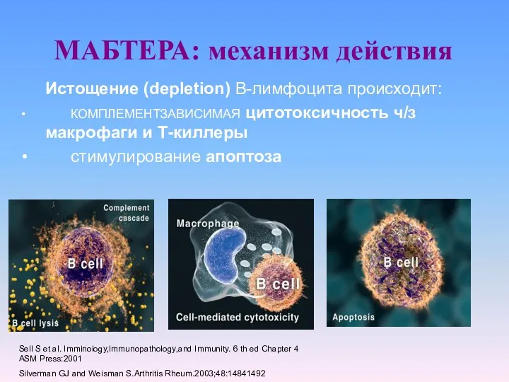 Истощение (depletion) В-лимфоцита происходит: КОМПЛЕМЕНТЗАВИСИМАЯ цитотоксичность ч/з макрофаги и Т-киллеры