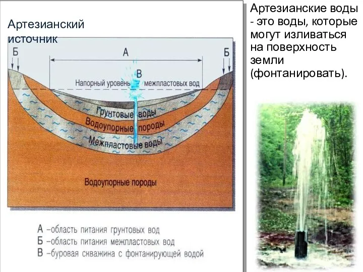 Артезианские воды - это воды, которые могут изливаться на поверхность земли (фонтанировать).