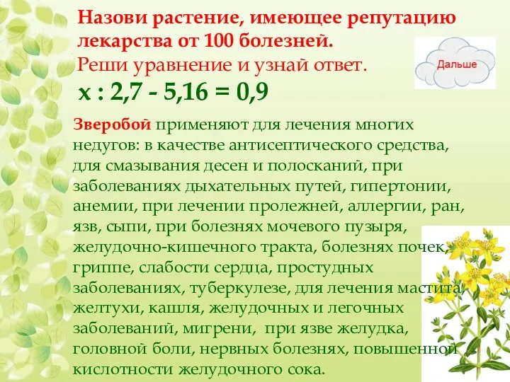 Назови растение, имеющее репутацию лекарства от 100 болезней. Реши уравнение