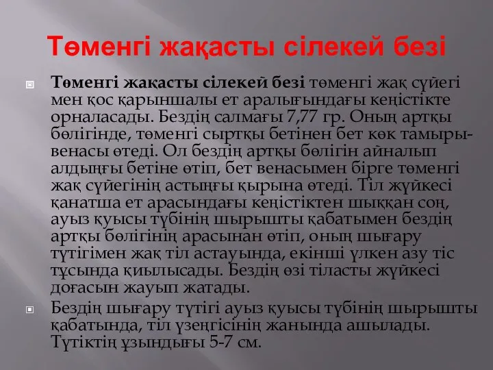 Төменгі жақасты сілекей безі Төменгі жақасты сілекей безі төменгі жақ сүйегі мен қос