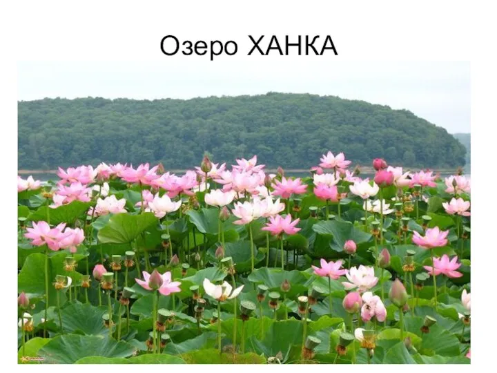 Озеро ХАНКА