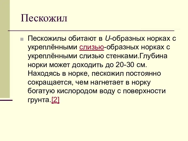 Пескожил Пескожилы обитают в U-образных норках с укреплёнными слизью-образных норках