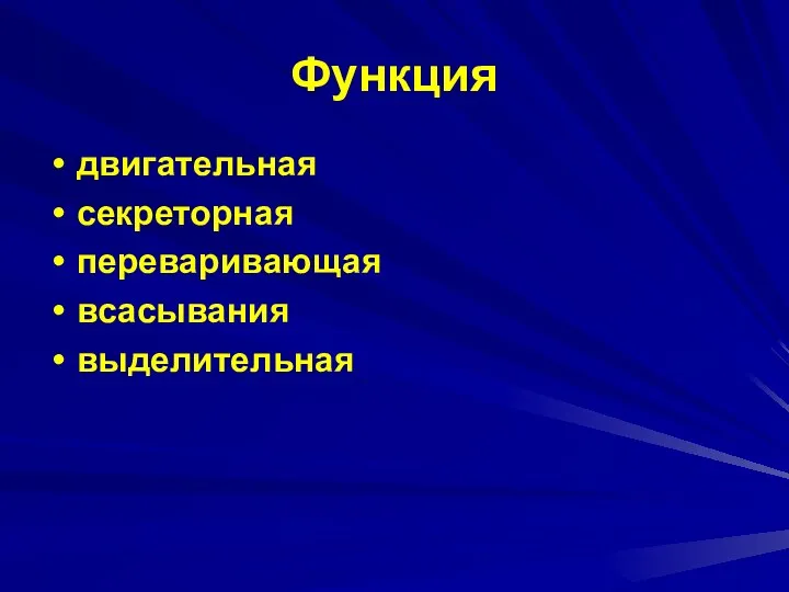 Функция двигательная секреторная переваривающая всасывания выделительная