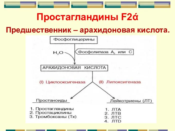 Простагландины F2ά Предшественник – арахидоновая кислота.