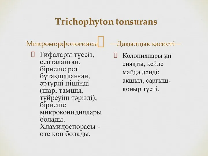 Тгіchophyton tonsurans Микроморфологиясы Гифалары түссіз, септаланған, бірнеше рет бұтақшаланған, әртүрлі