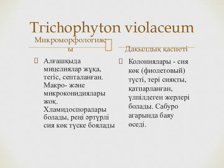 Тгісһорhyton violaceum Микроморфологиясы Алғашқыда мицелиялар жұқа, тегіс, септаланған. Макро- және