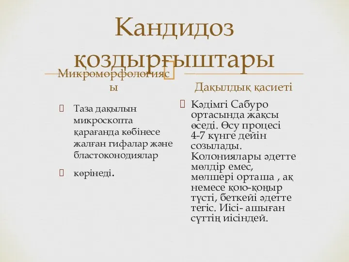 Кандидоз қоздырғыштары Микроморфологиясы Таза дақылын микроскопта қарағанда көбінесе жалған гифалар