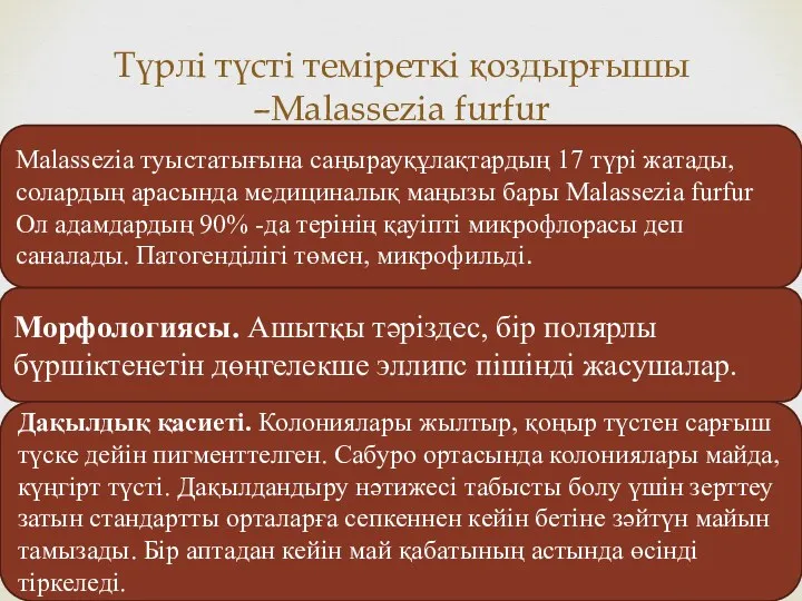 Түрлі түсті теміреткі қоздырғышы –Malassezia furfur Malassezia туыстатығына саңырауқұлақтардың 17