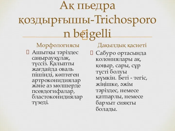 Ақ пьедра қоздырғышы-Trichosporon beigelli Морфологиясы Ашытқы тәріздес саңырауқұлақ, түссіз. Қалыпты