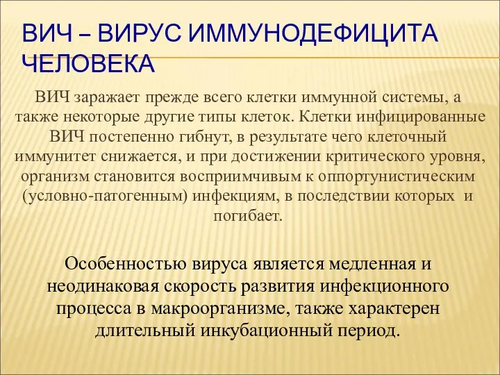 ВИЧ – ВИРУС ИММУНОДЕФИЦИТА ЧЕЛОВЕКА ВИЧ заражает прежде всего клетки