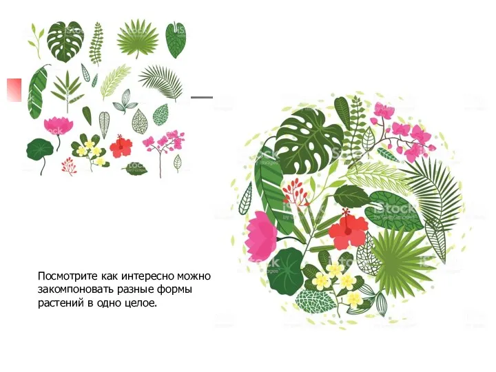 Посмотрите как интересно можно закомпоновать разные формы растений в одно целое.