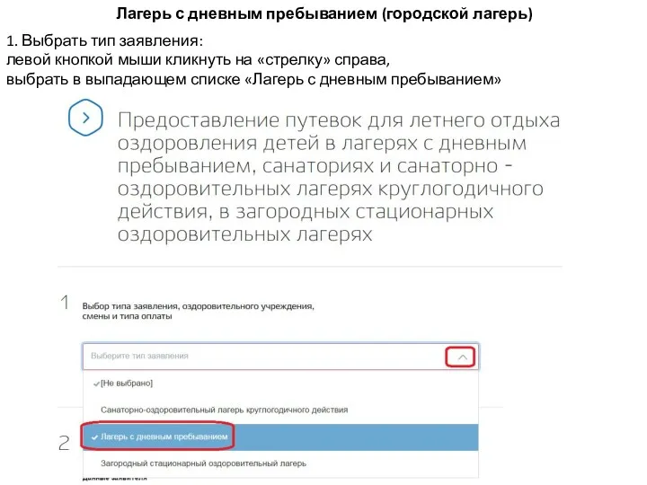 Лагерь с дневным пребыванием (городской лагерь) 1. Выбрать тип заявления: