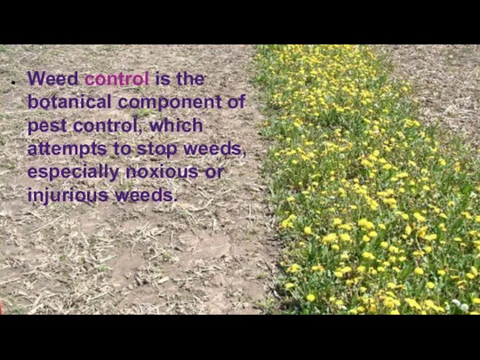 Weed control is the botanical component of pest control, which attempts to stop