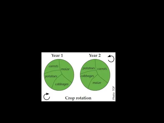 Organic standards require rotation of annual crops, meaning that a single crop cannot