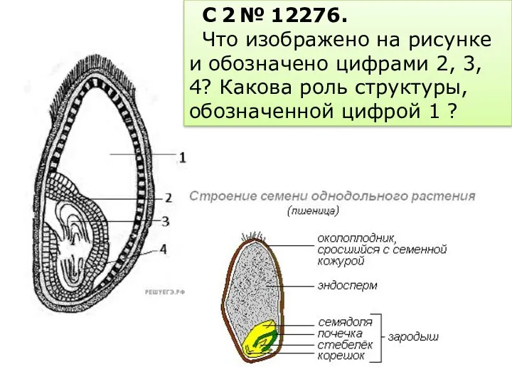 C 2 № 12276. Что изображено на рисунке и обозначено